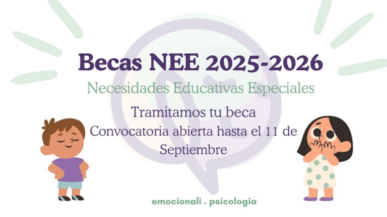 Becas MEC alumnos con necesidades educativas especiales